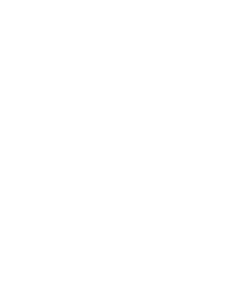 VOICE